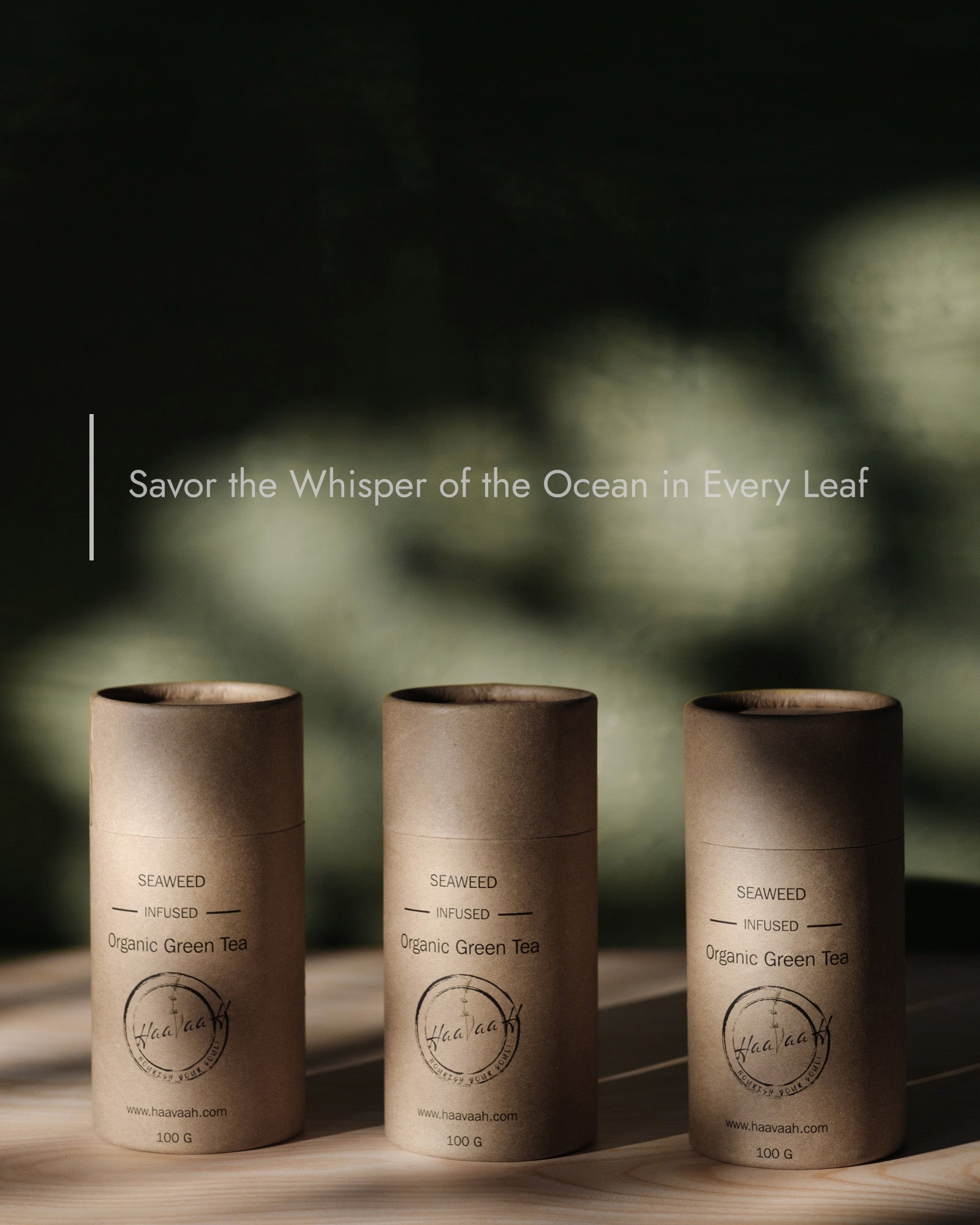 Organic Green Tea - Seaweed Infused